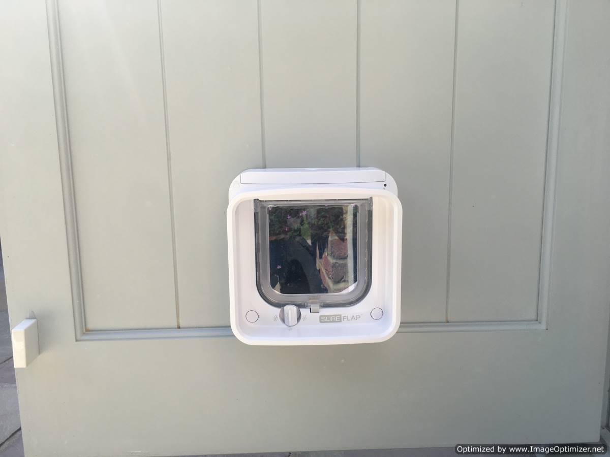 Cat flap outlet fitted