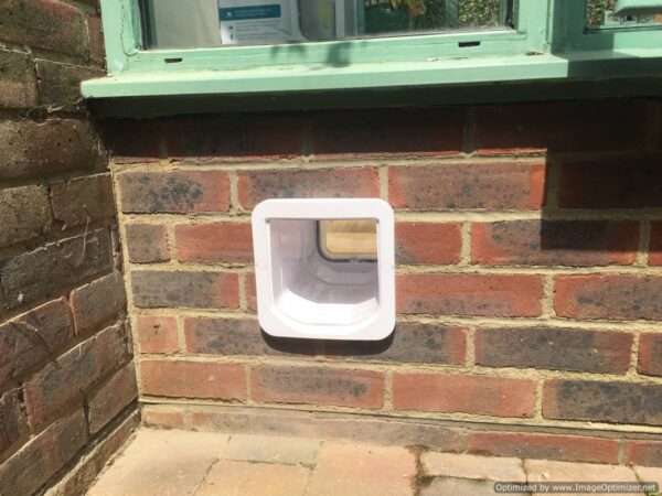 Just Cat Flaps, cat flap in wall, wall cat flap, microchip cat flap eastbourne, eastbourne cat flap fitted, cat flap fitter, cat flap fitted, wall mounted cat flap, wall cat flap installer, microchip cat flap, how to fit a cat flap through a wall, handyman to fit cat flap, ben cat flap fitter, petsafe, locking staywell cat flap, catflaps, pet doors, petdoors, petdoor, dog door, doggie door, remove cat flap